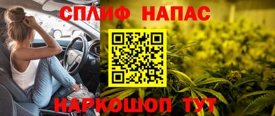 молекула духа Донецк