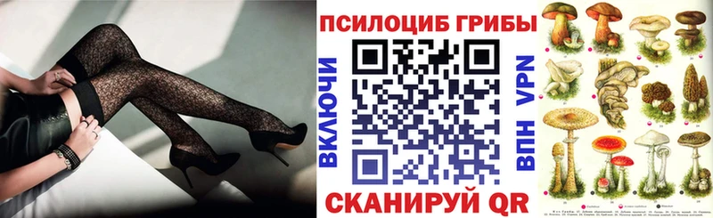 Галлюциногенные грибы Cubensis  где купить наркоту  Сосновоборск 